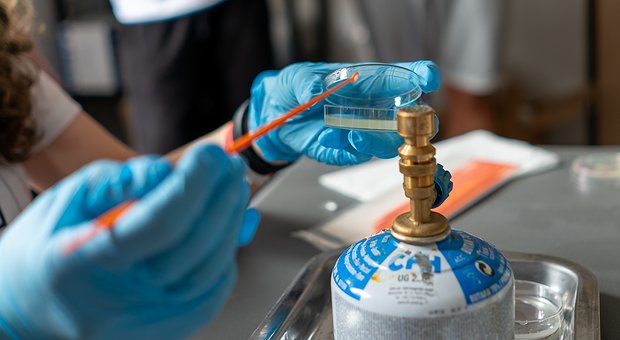 Biotechnologia medyczna